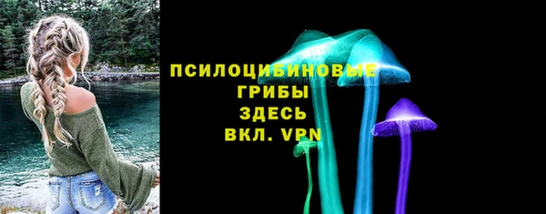 спайс Беломорск