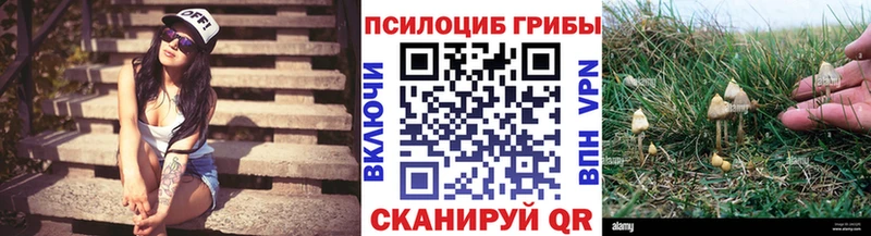 даркнет как зайти  Высоцк  Псилоцибиновые грибы Psilocybine cubensis  кракен маркетплейс 