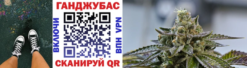 где можно купить наркотик  Высоцк  Конопля планчик 